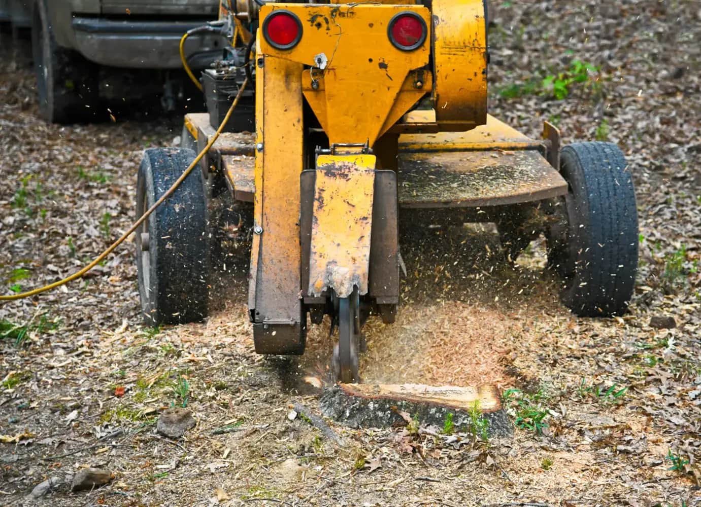Charlotte Tree Co. tree services in Charlotte