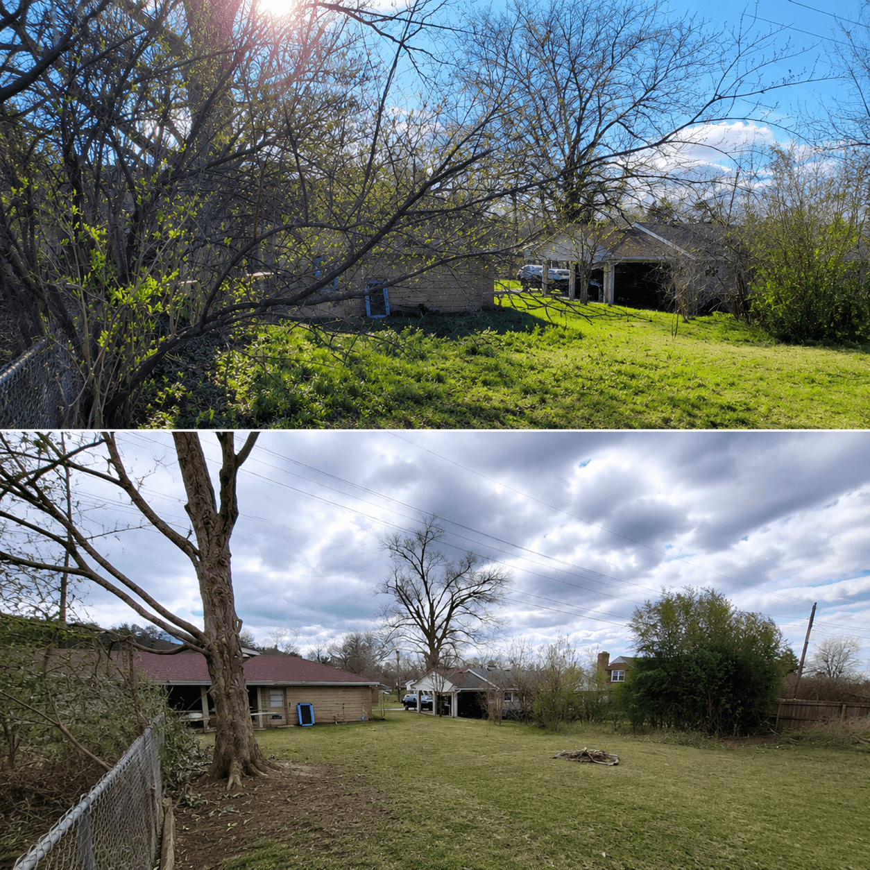 Before and after - Charlotte Tree Co. project